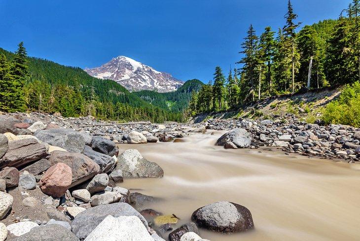 El río Nisqually y el Monte Rainier