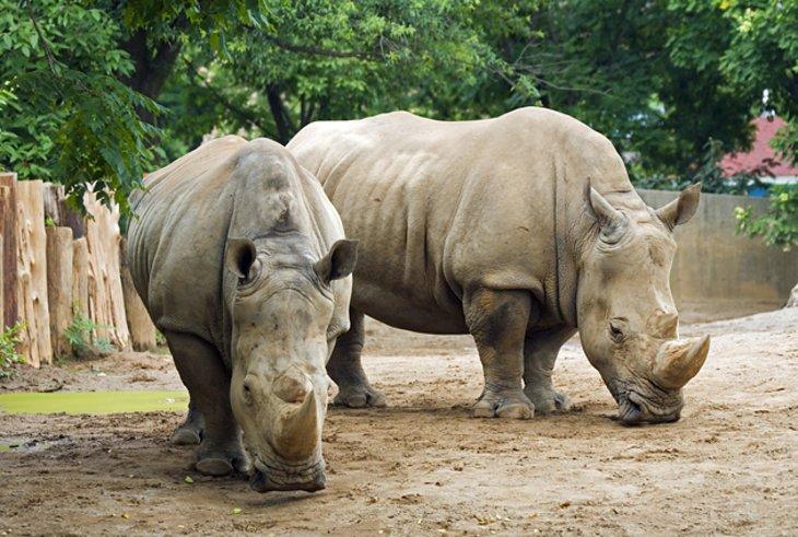 Zoo de Louisville