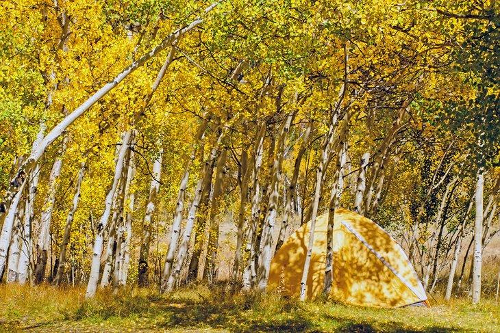 Acampada en otoño en Boreas Pass