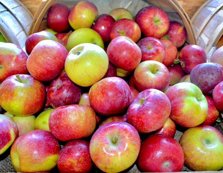 Äpfel aus dem Hudson Valley auf dem Bauernmarkt