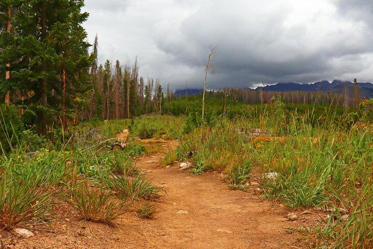 Lost Lake Trail