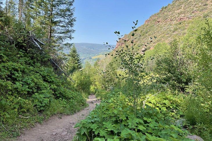 Cougar Ridge Trail