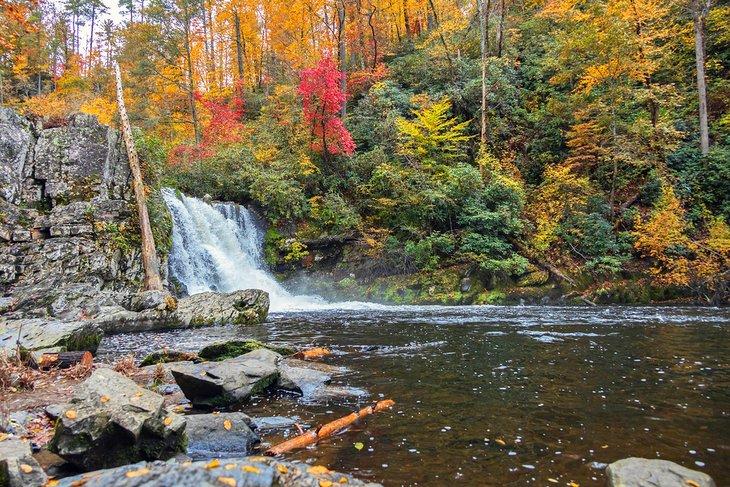 Abrams Falls rodeada de colores de otoño