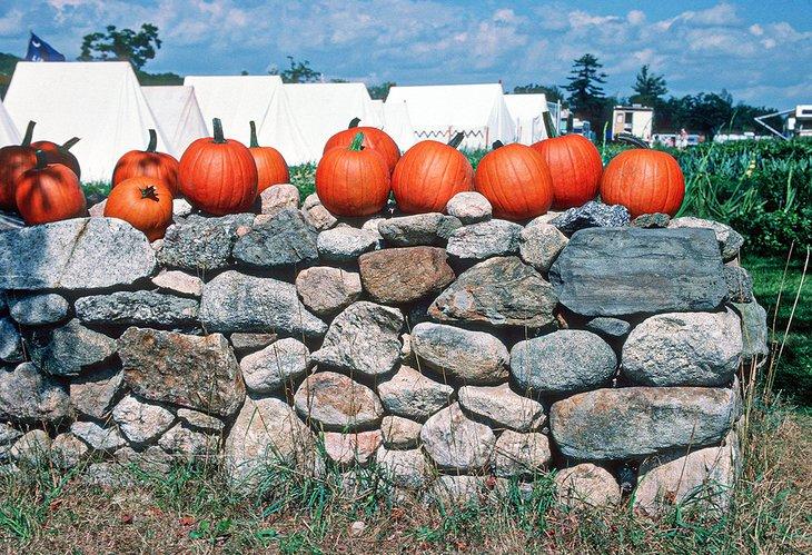 Calabazas en el Museo de la Granja Muster Field