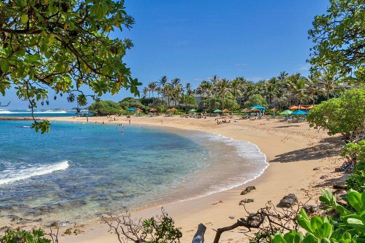 Playa Turtle Bay