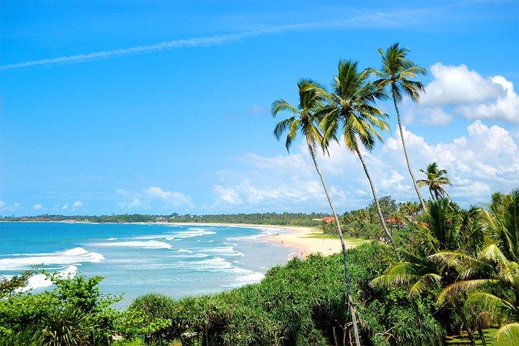 Bentota