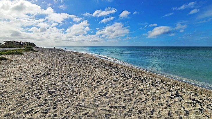 Playa Turtle, Siesta Key