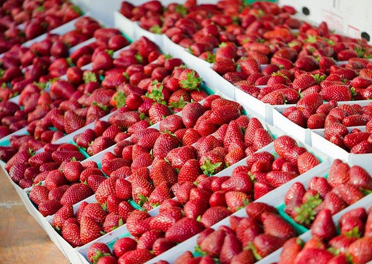 Frische Erdbeeren auf dem Santa Monica Farmers Market
