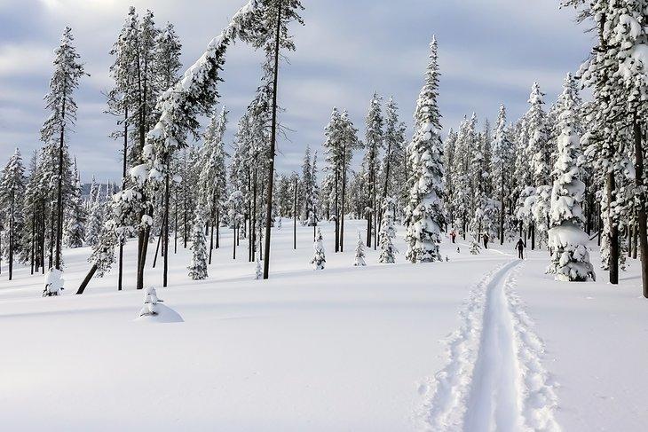 Esquí de fondo en Montana
