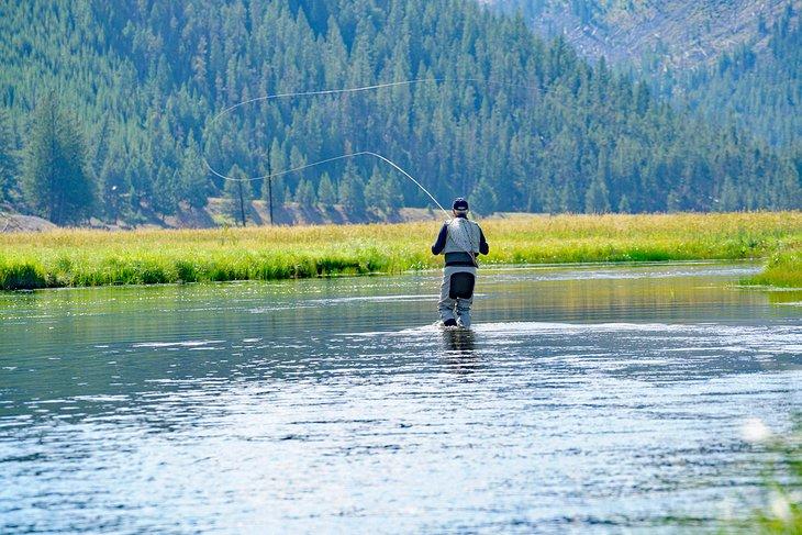 Pesca con mosca en el río Madison