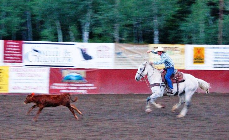 Rodeo de Wild West Yellowstone