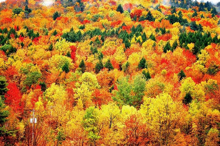 Colores de otoño en los Catskills