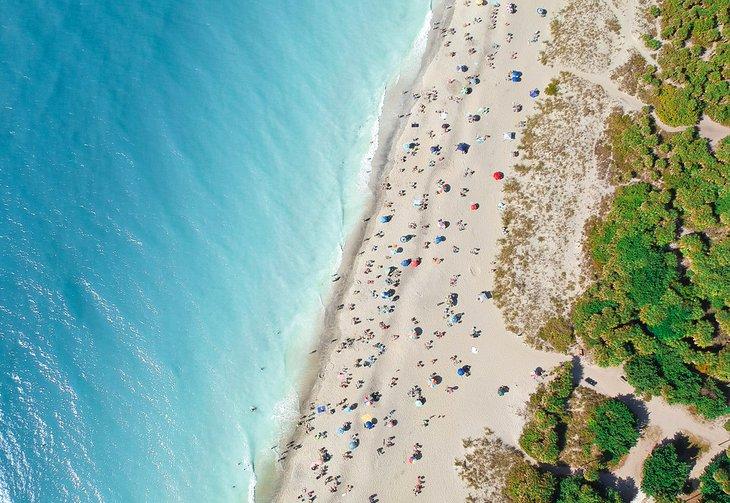 Vista aérea de la Playa Venice