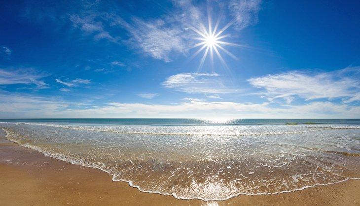 Playa Estatal de St. George Island