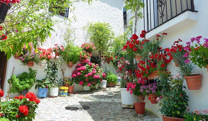 Pampaneira : Un Village Alpujarras Blanchi à la Chaux