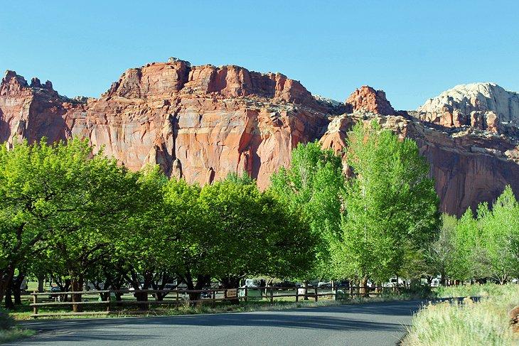 Camping Fruita en el Parque Nacional Capitol Reef