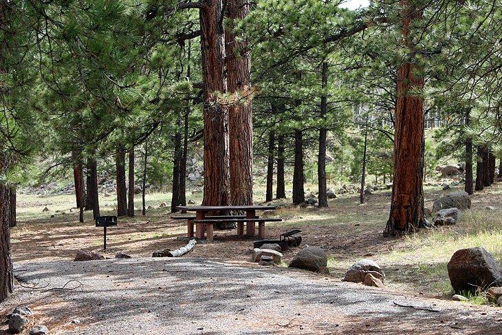 Camping Pleasant Creek en el Bosque Nacional Dixie
