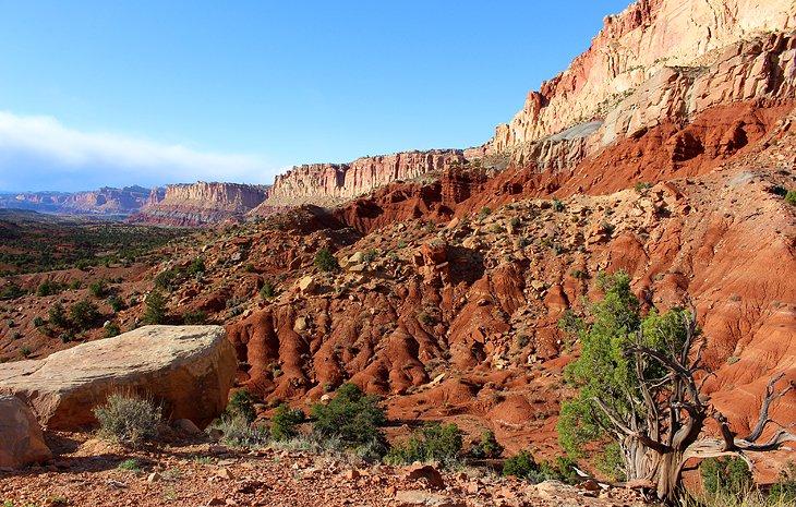 Vista desde un mirador en el Parque Nacional Capitol Reef