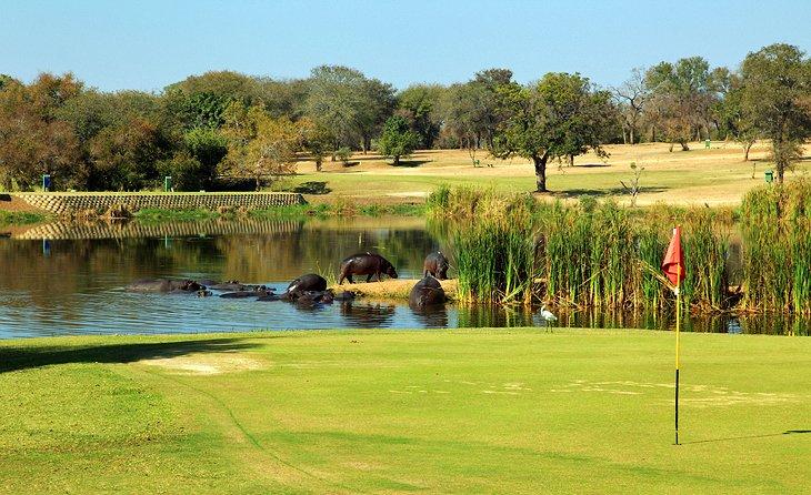 Campo de Golf del Campamento Skukuza