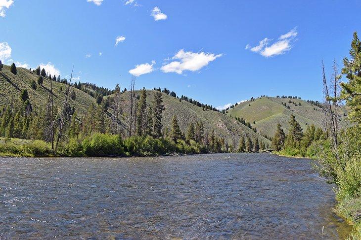 Der Salmon River, gesehen von der Salmon River Scenic Byway