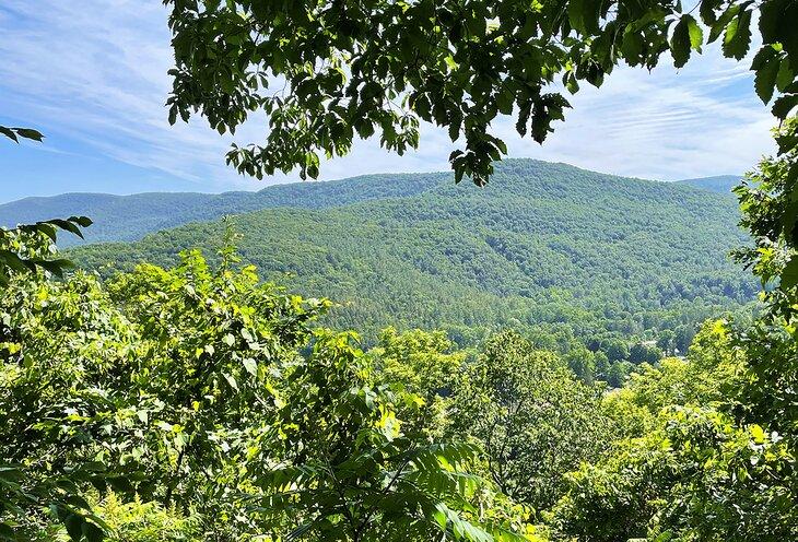 Mount Tremper Trail