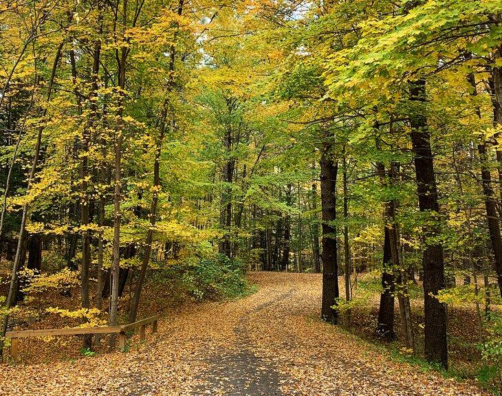 Mount Tremper Trail im Herbst