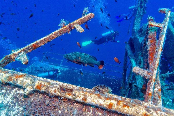 Plongée sur le Zenobia