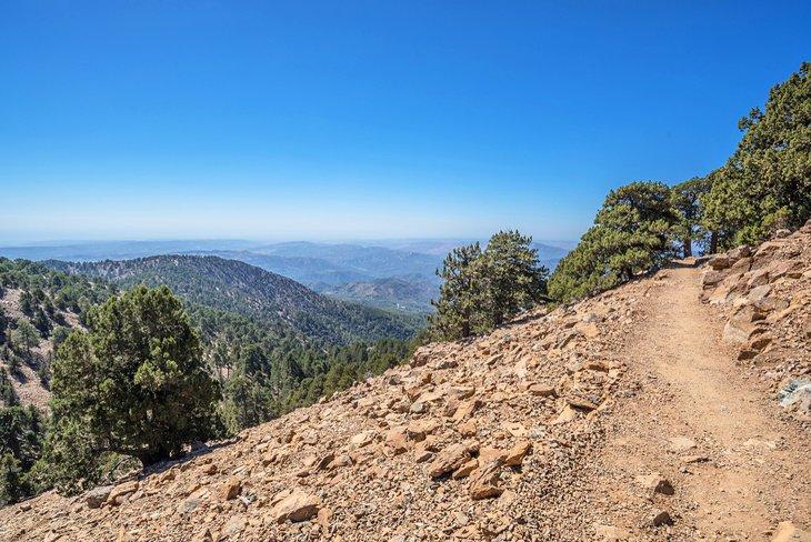Sentier naturel d'Atalanti dans les montagnes du Troodos