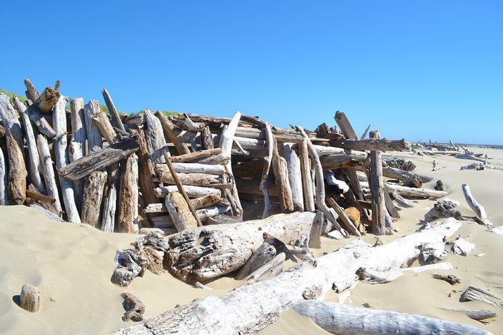 Fortaleza de troncos de madera flotante masiva en Heceta Beach