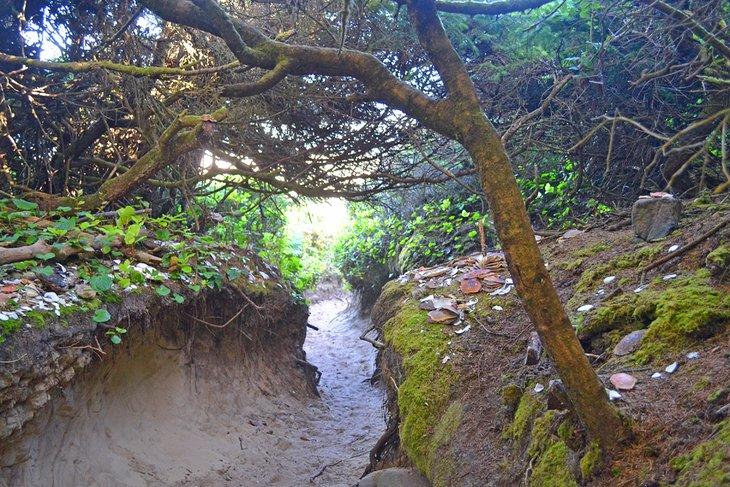 Sendero Hobbit