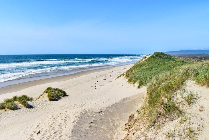 Playa South Jetty
