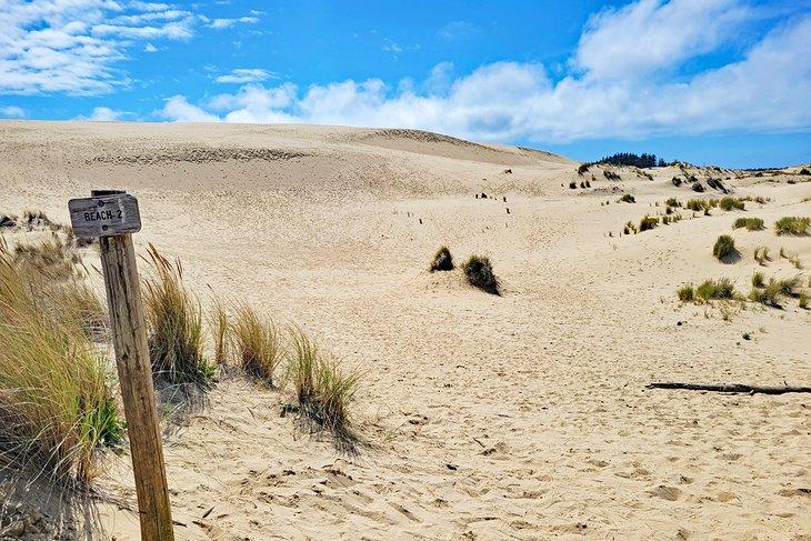 Sendero John Dellenback Dunes