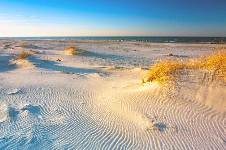 Dunas de arena en el Parque Nacional de Slowinski