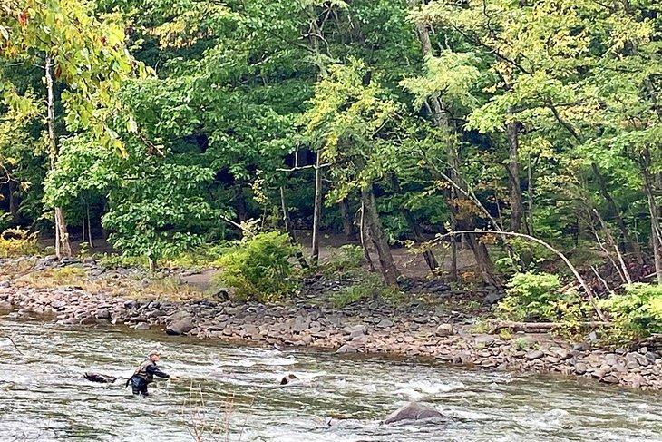 Pesca con mosca en las Catskills