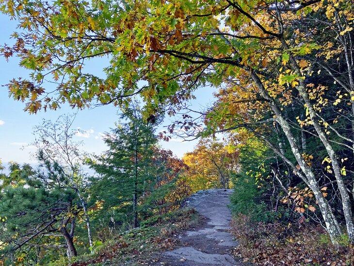 Sendero de Escarpment