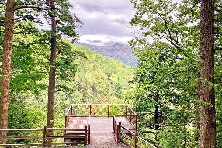 Plataforma de visualización en el Sendero de las Cascadas Kaaterskill