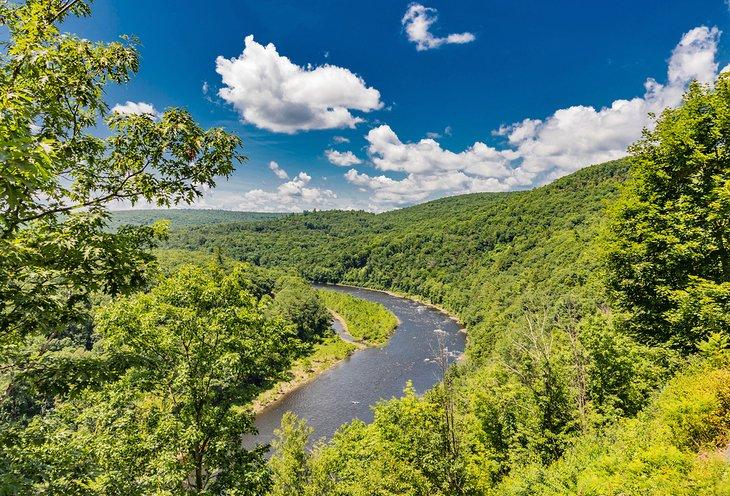 Río Delaware fluyendo a través de las Catskills en un día de verano