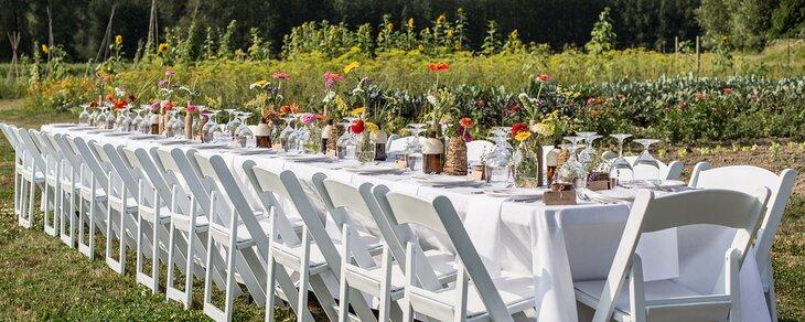 Comida al aire libre en un campo