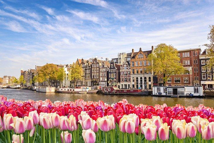 Tulipanes floreciendo a lo largo de un canal de Ámsterdam