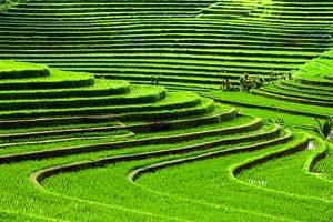 Mejor Época para Visitar Bali