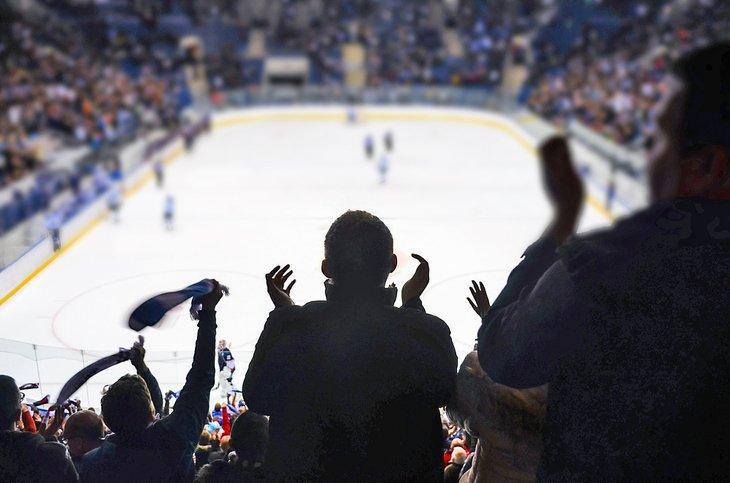 Fans genießen ein Eishockeyspiel