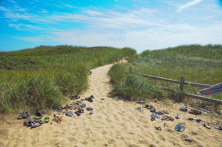 Camino hacia Ladies' Beach