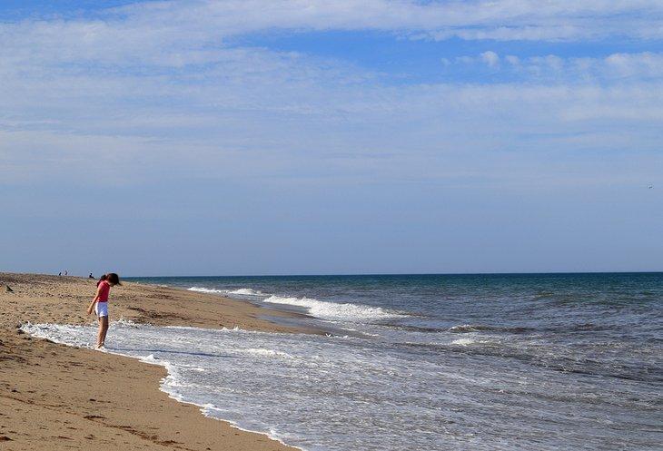 Siasconset Beach