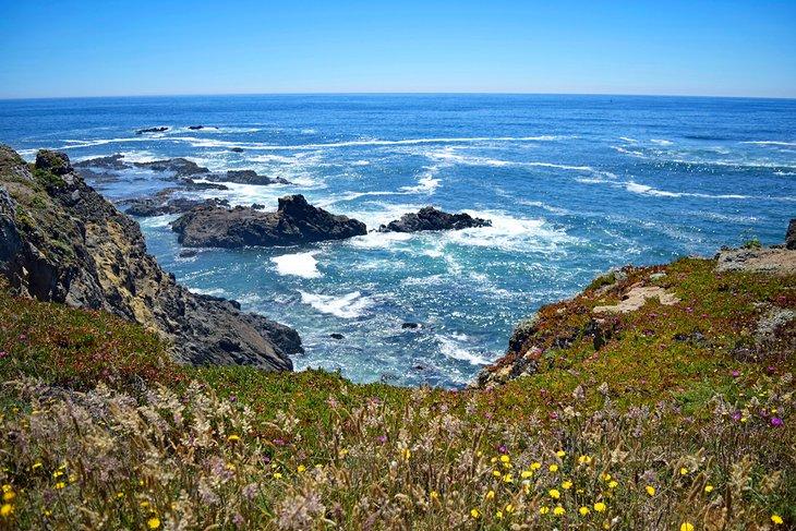 Playa del Estado de Westport-Union Landing