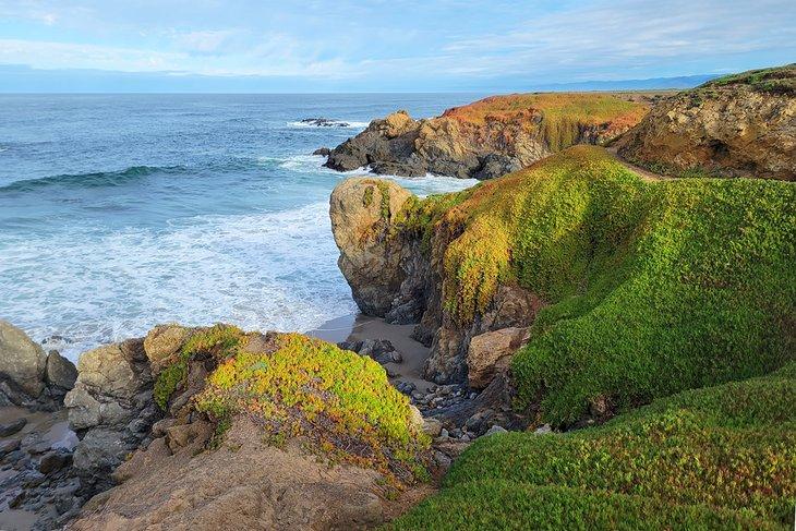 Parque Noyo Headlands