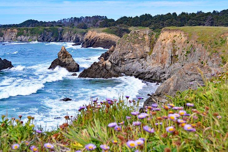 Playa Jug Handle State Natural Reserve