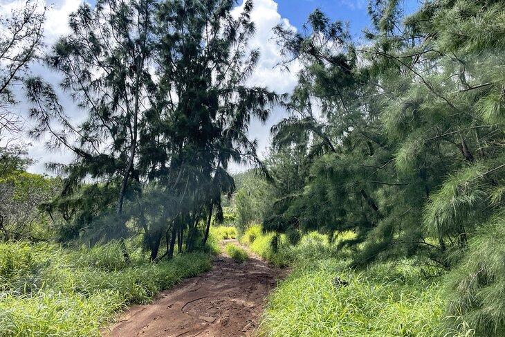 Acid War Trail