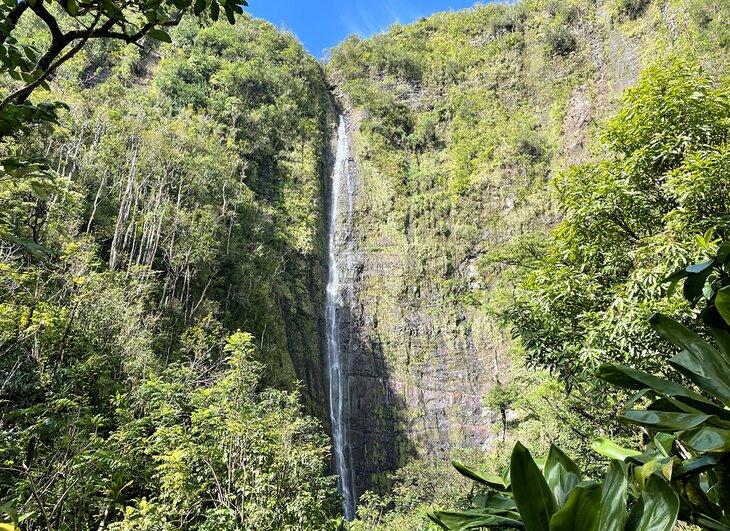 Waimoku Falls auf dem Pipiwai Trail