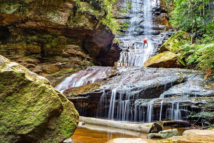 Descender por una cascada en las Montañas Azules, Australia