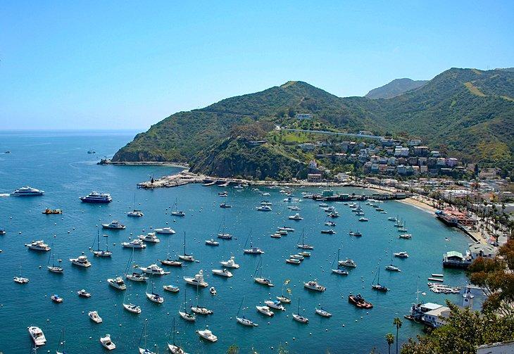 Isla Catalina